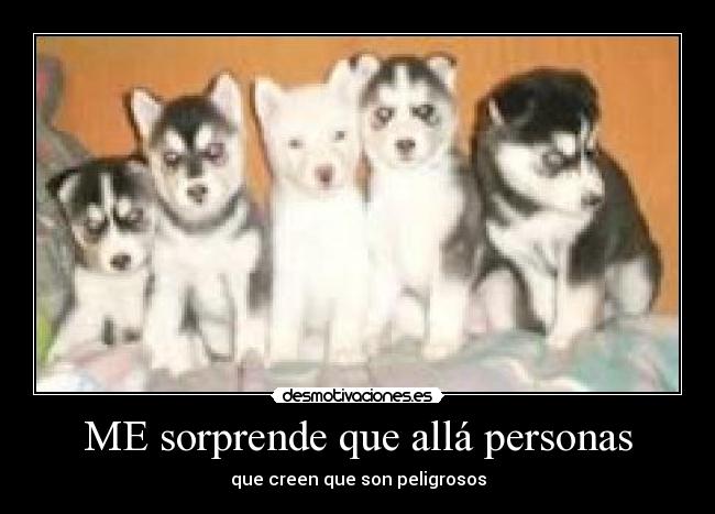 ME sorprende que allá personas -