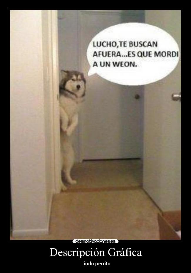 Descripción Gráfica -