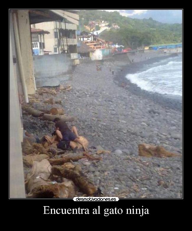 Encuentra al gato ninja -