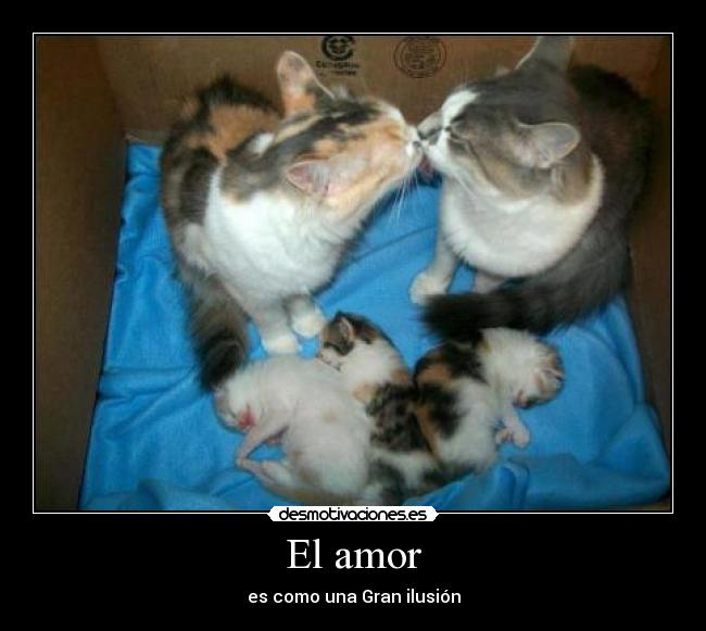 El amor -