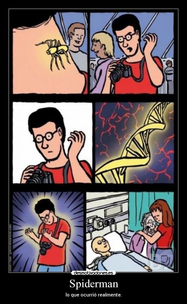 Spiderman - lo que ocurrió realmente.