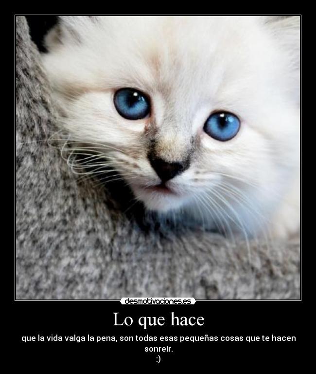 carteles hola desmotivaciones