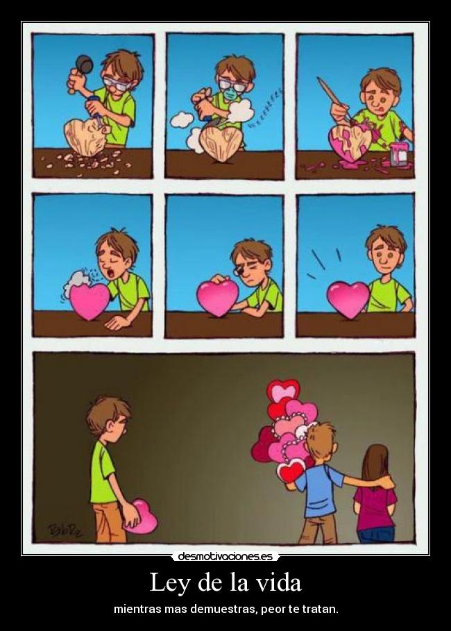 Ley de la vida -