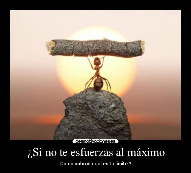 carteles fuerza interior desmotivaciones