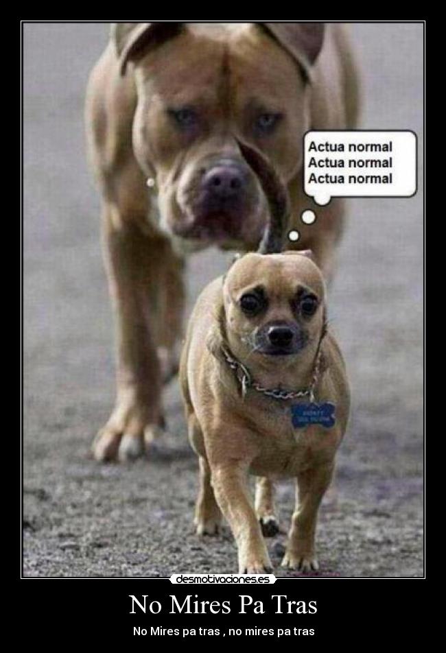 carteles ajjajaja lijke desmotivaciones