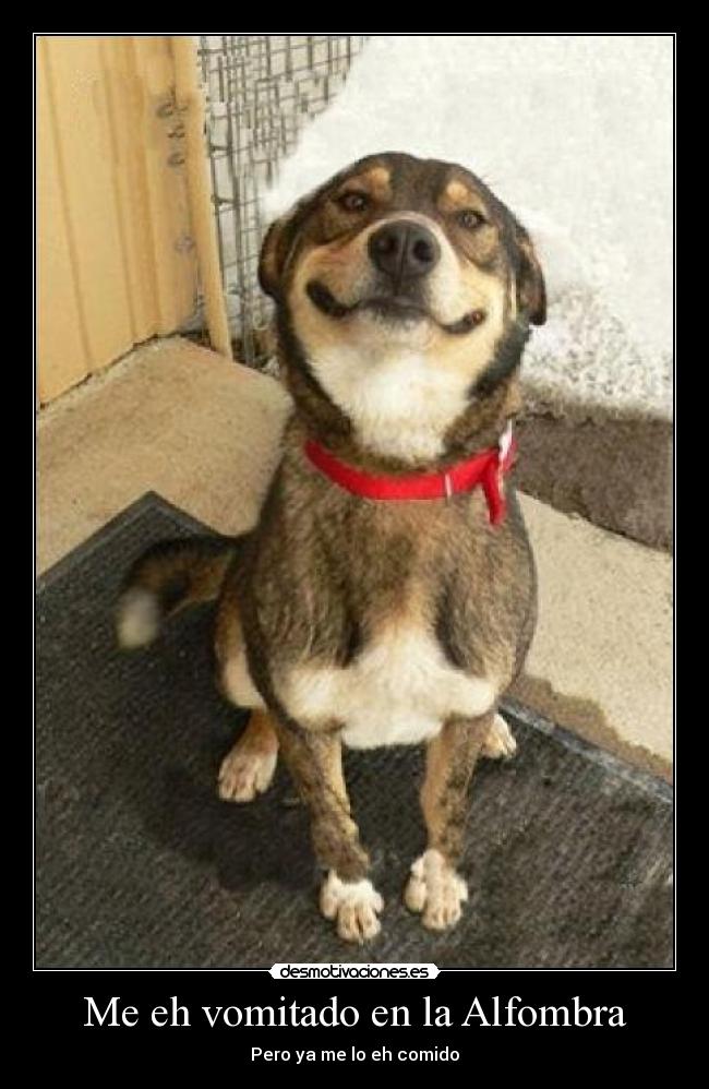 Me eh vomitado en la Alfombra -