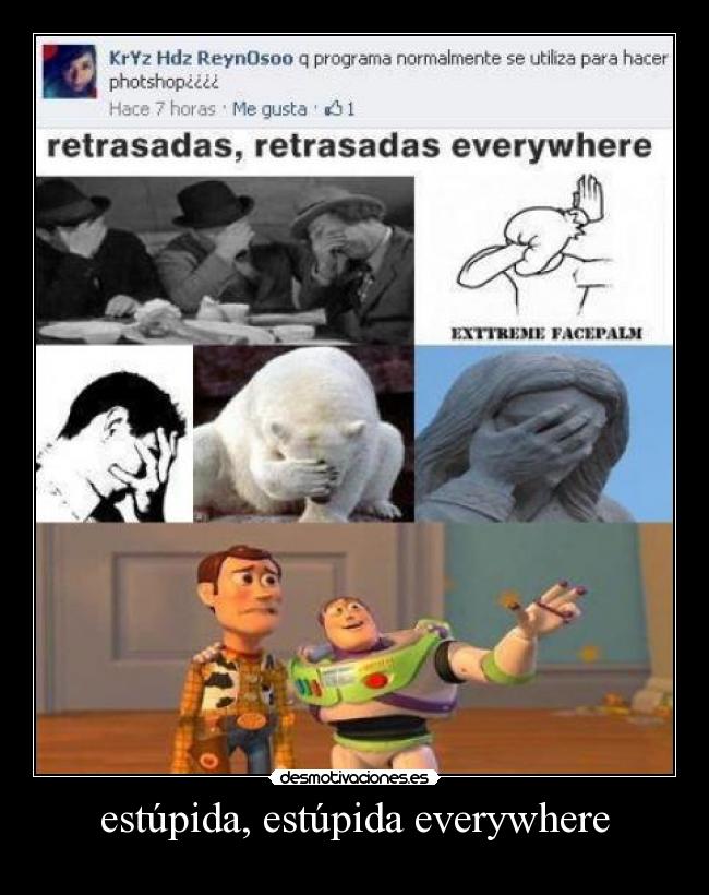 estúpida, estúpida everywhere -