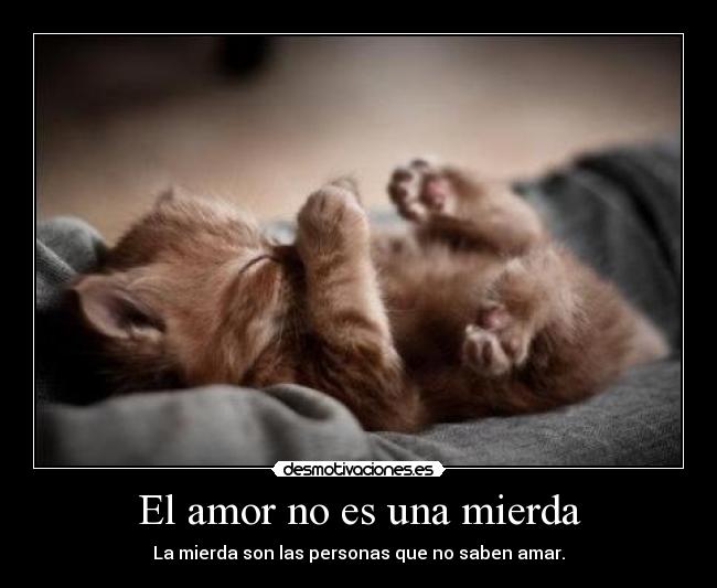 carteles amor elamor desmotivaciones