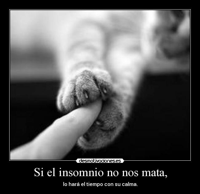 Si el insomnio no nos mata, - lo hará el tiempo con su calma.
