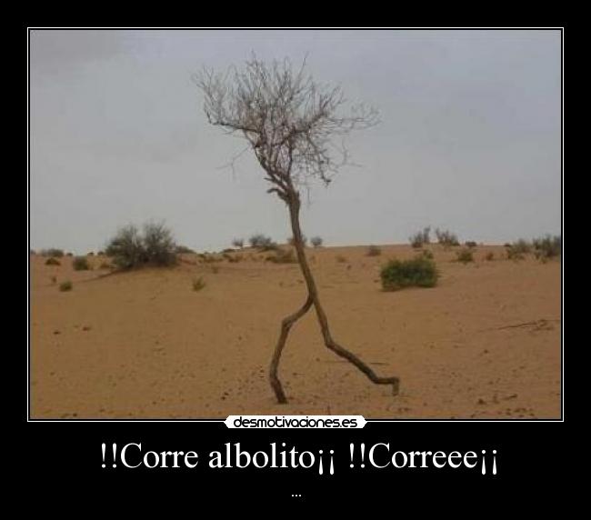 !!Corre albolito¡¡ !!Correee¡¡ - ...