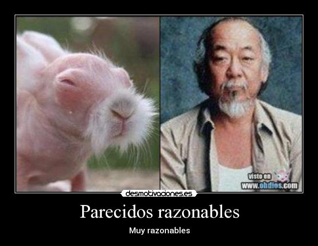 Parecidos razonables - Muy razonables