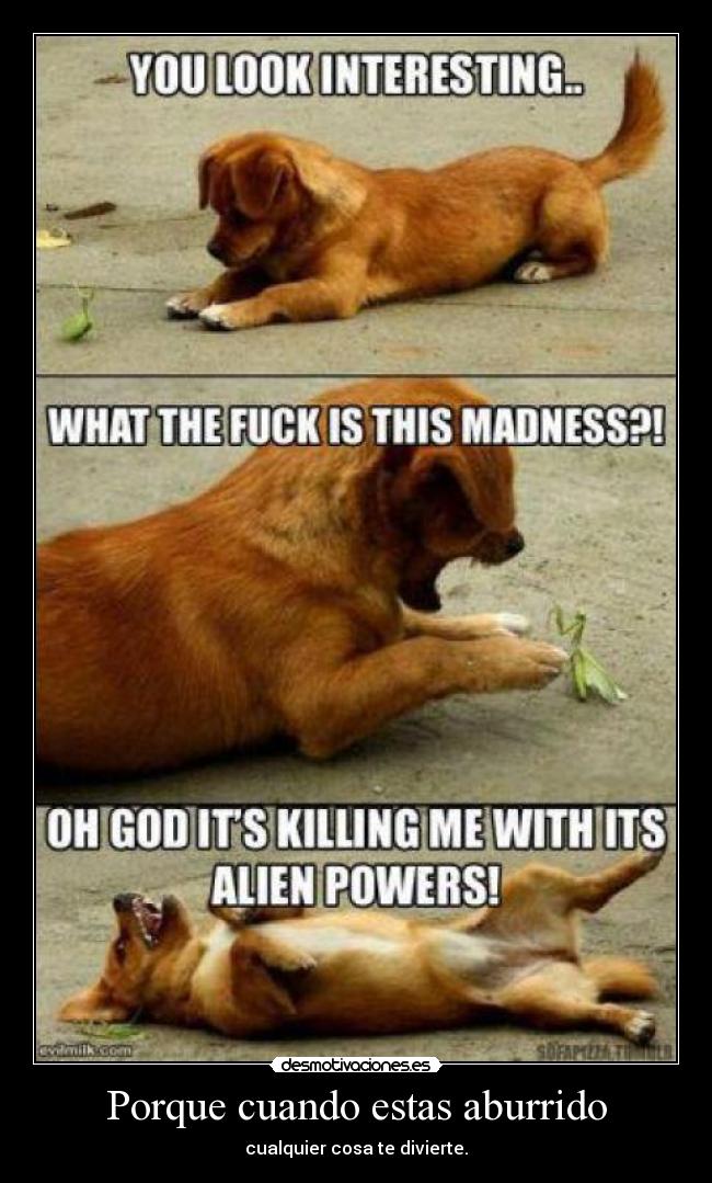 Porque cuando estas aburrido - 