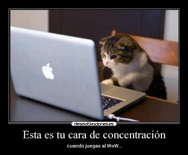 Esta es tu cara de concentración - 
