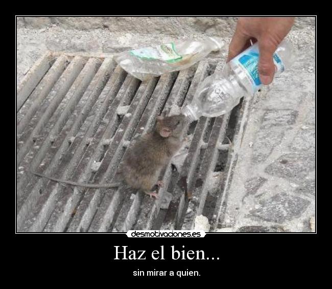 Haz el bien... -