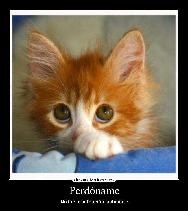 Perdóname - No fue mi intención lastimarte