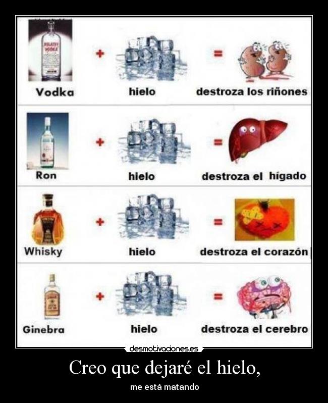 carteles resaca guayabo cruda cual sea nombre siente igual horrible desmotivaciones