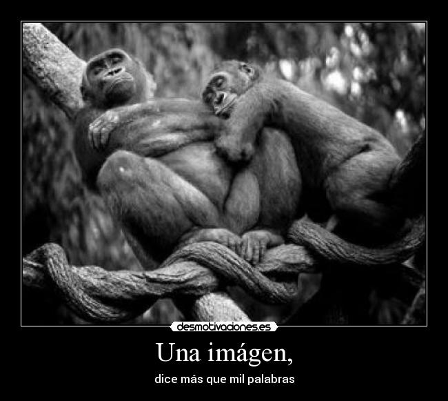 Una imágen, - dice más que mil palabras