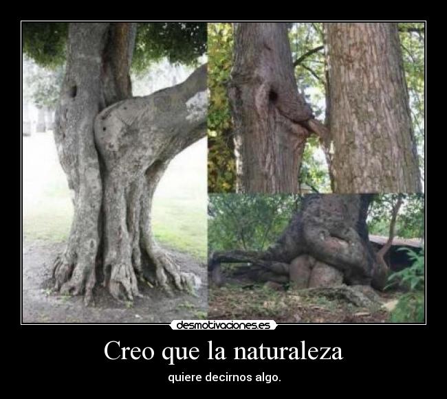 Creo que la naturaleza - 