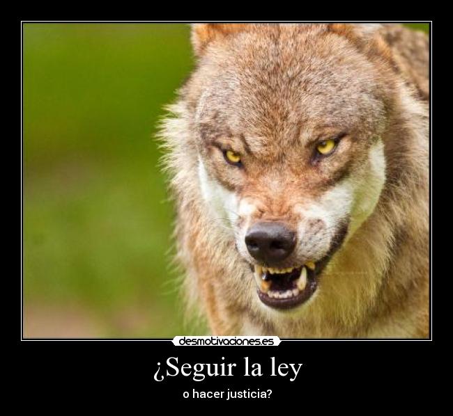 ¿Seguir la ley - 