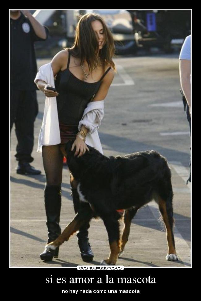 si es amor a la mascota - 