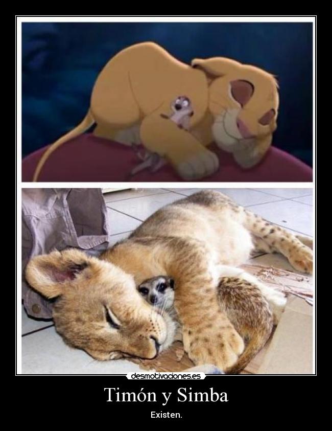 Timón y Simba -