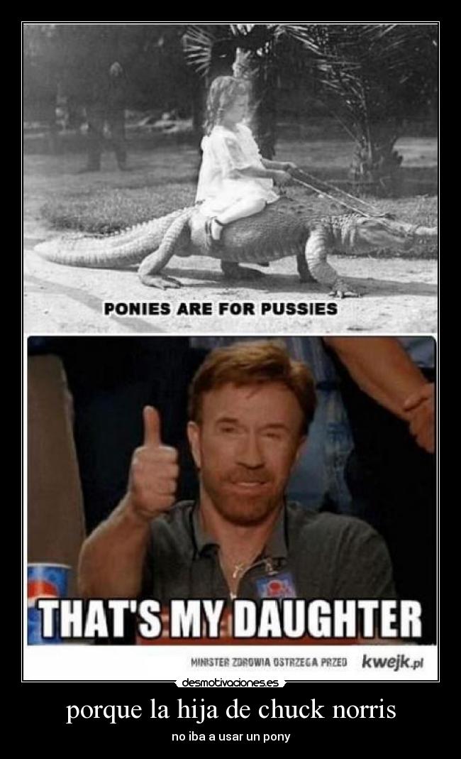 porque la hija de chuck norris - no iba a usar un pony