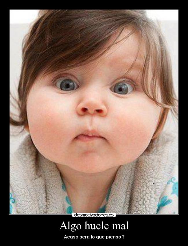 Algo huele mal - Acaso sera lo que pienso ?