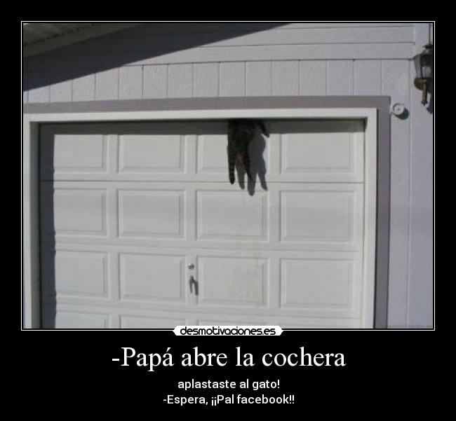 -Papá abre la cochera - aplastaste al gato!
-Espera, ¡¡Pal facebook!!