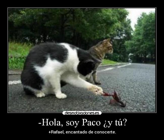 -Hola, soy Paco ¿y tú? - 