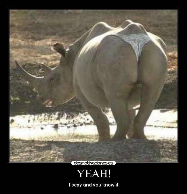 YEAH! - I sexy and you know it