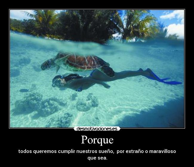 Porque - todos queremos cumplir nuestros sueño, por extraño o maravilloso que sea.