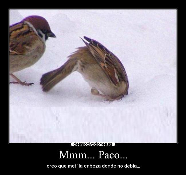 Mmm... Paco... -