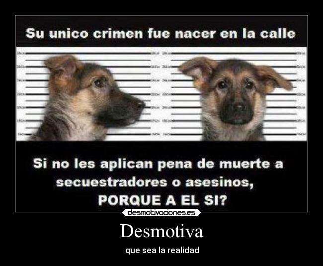 Desmotiva - que sea la realidad