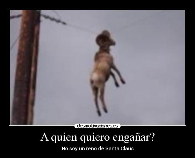 A quien quiero engañar? - 