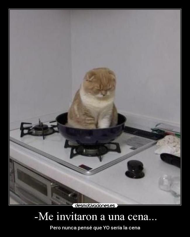 -Me invitaron a una cena... -