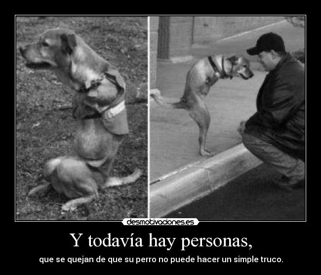 Y todavía hay personas, - 