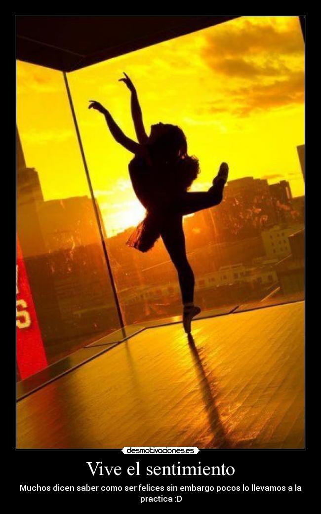 Vive el sentimiento - Muchos dicen saber como ser felices sin embargo pocos lo llevamos a la practica :D