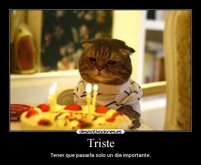 Triste - Tener que pasarla solo un día importante.