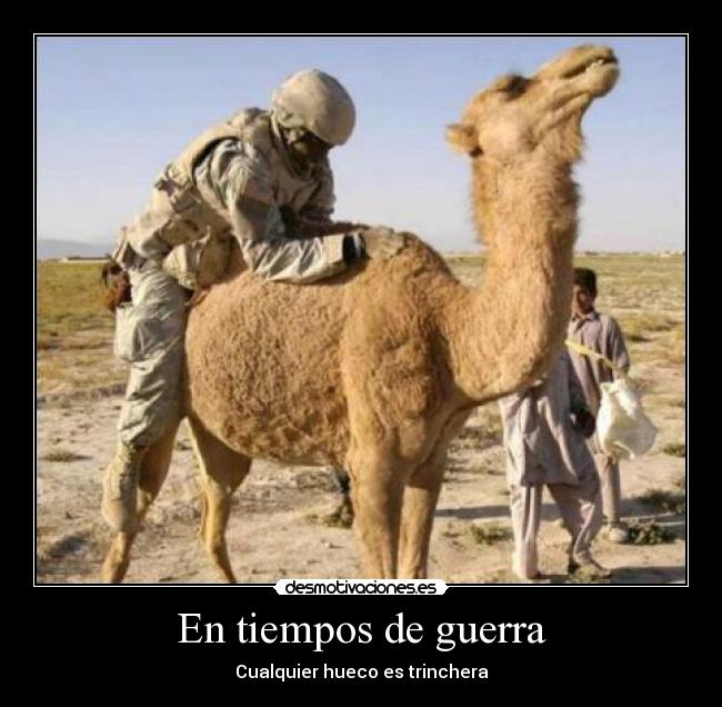 En tiempos de guerra - Cualquier hueco es trinchera