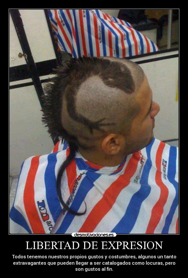 LIBERTAD DE EXPRESION - 