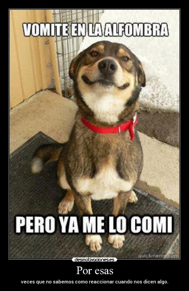 carteles vomite alfombra asi que limpiarla andreszambrano desmotivaciones