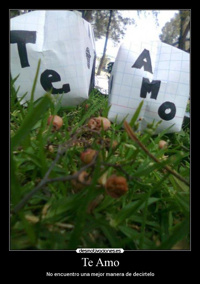 Te Amo - No encuentro una mejor manera de decirtelo