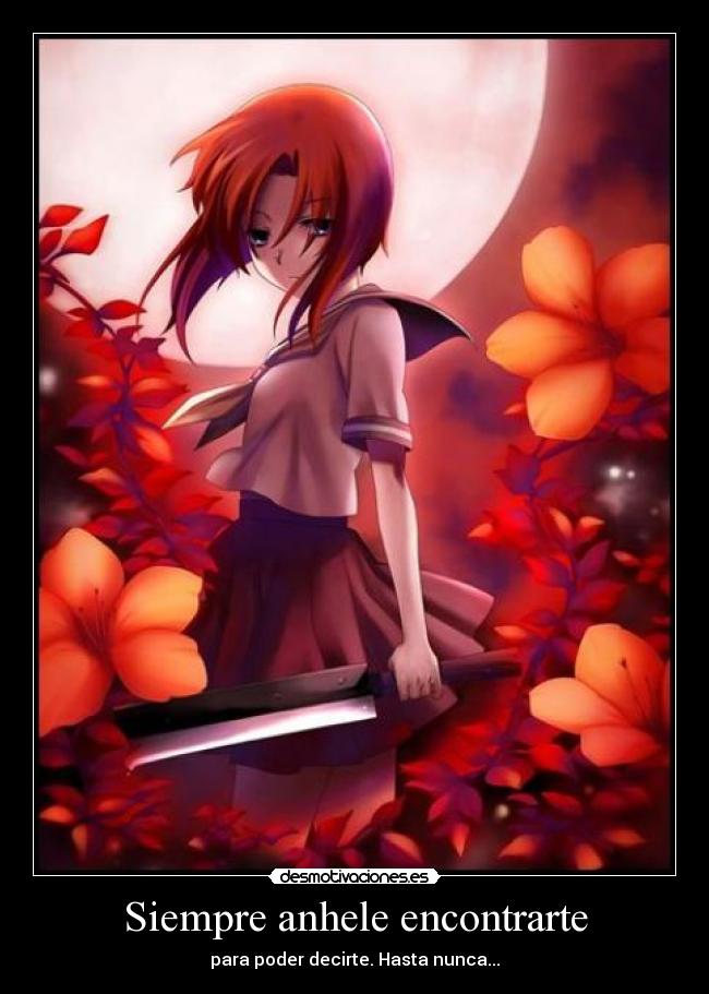 Siempre anhele encontrarte - para poder decirte. Hasta nunca...