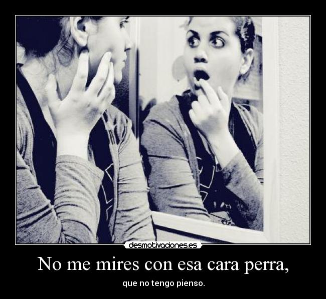 No me mires con esa cara perra, - 