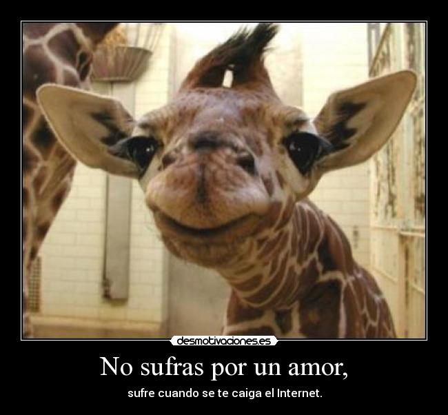 No sufras por un amor, - 