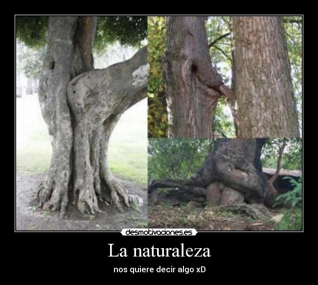 La naturaleza - nos quiere decir algo xD