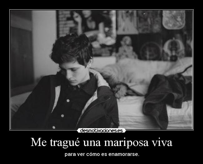 carteles migleidysmayora desmotivaciones