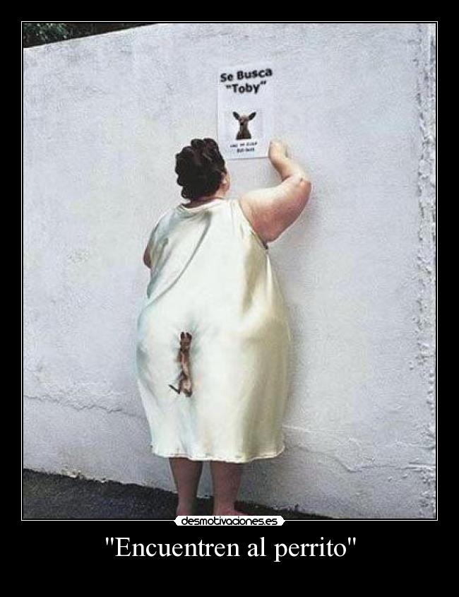 Encuentren al perrito - 