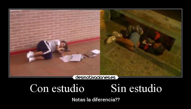Con estudio Sin estudio -
