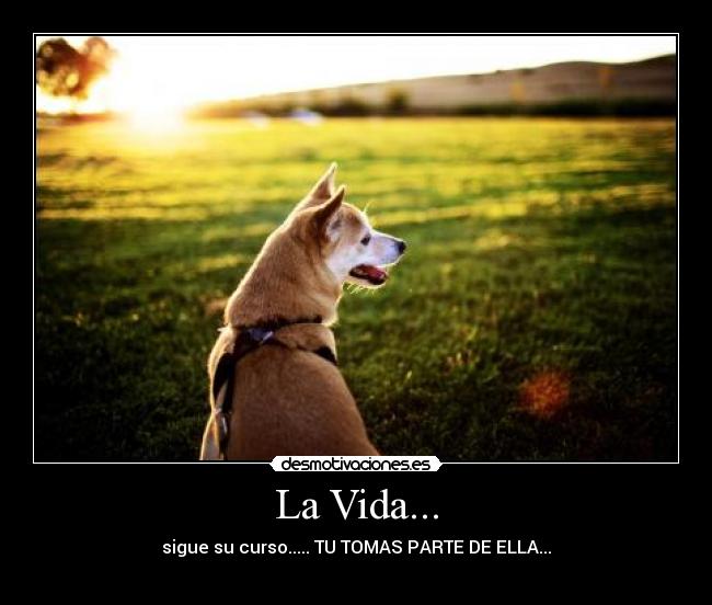 La Vida... - sigue su curso..... TU TOMAS PARTE DE ELLA...
♥
